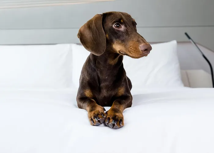 Innside By Melia San Sebastian Orly San Sebastián